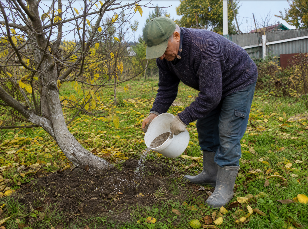 image-4040676 (1).png